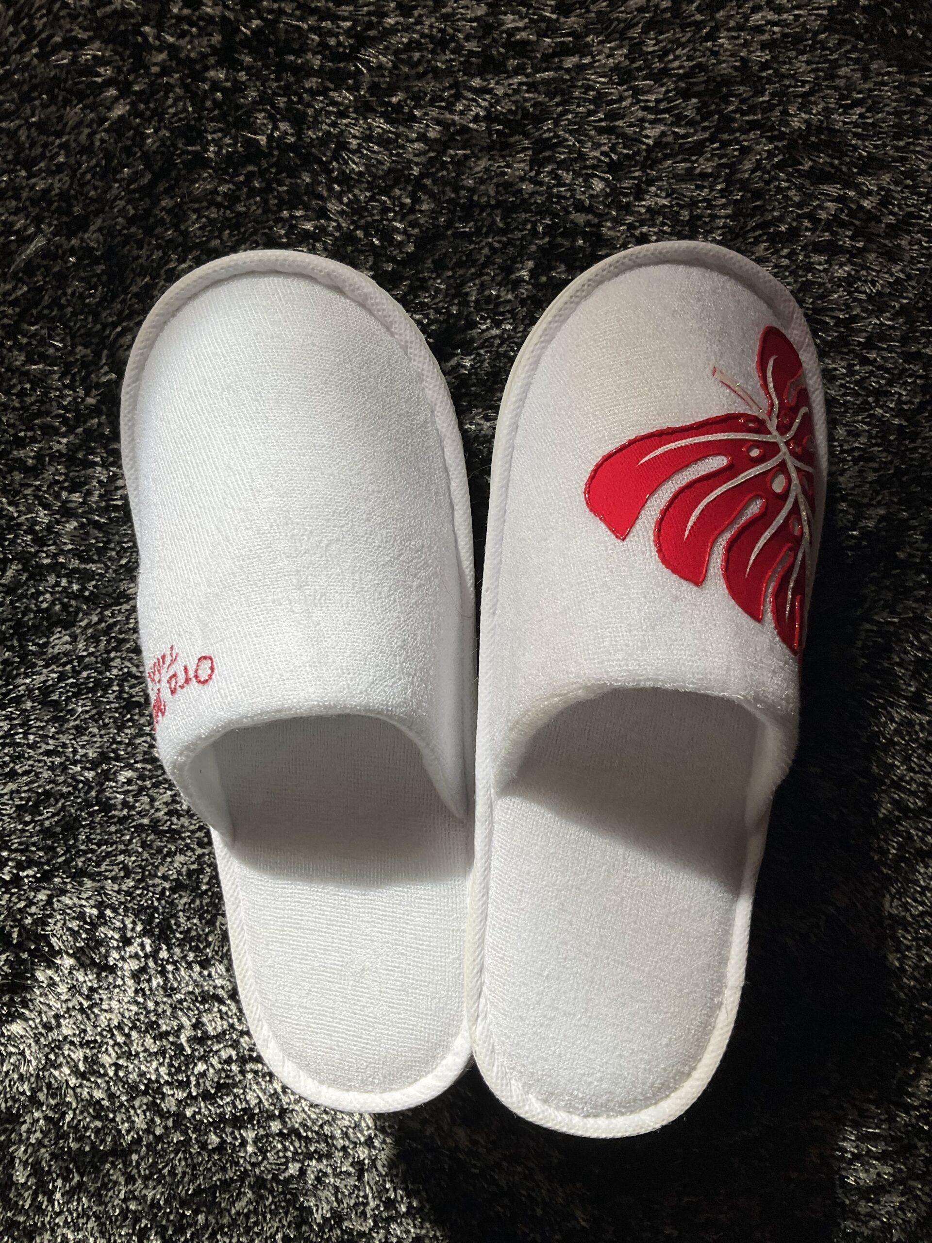 Pantoufles Ape white rouge dessus