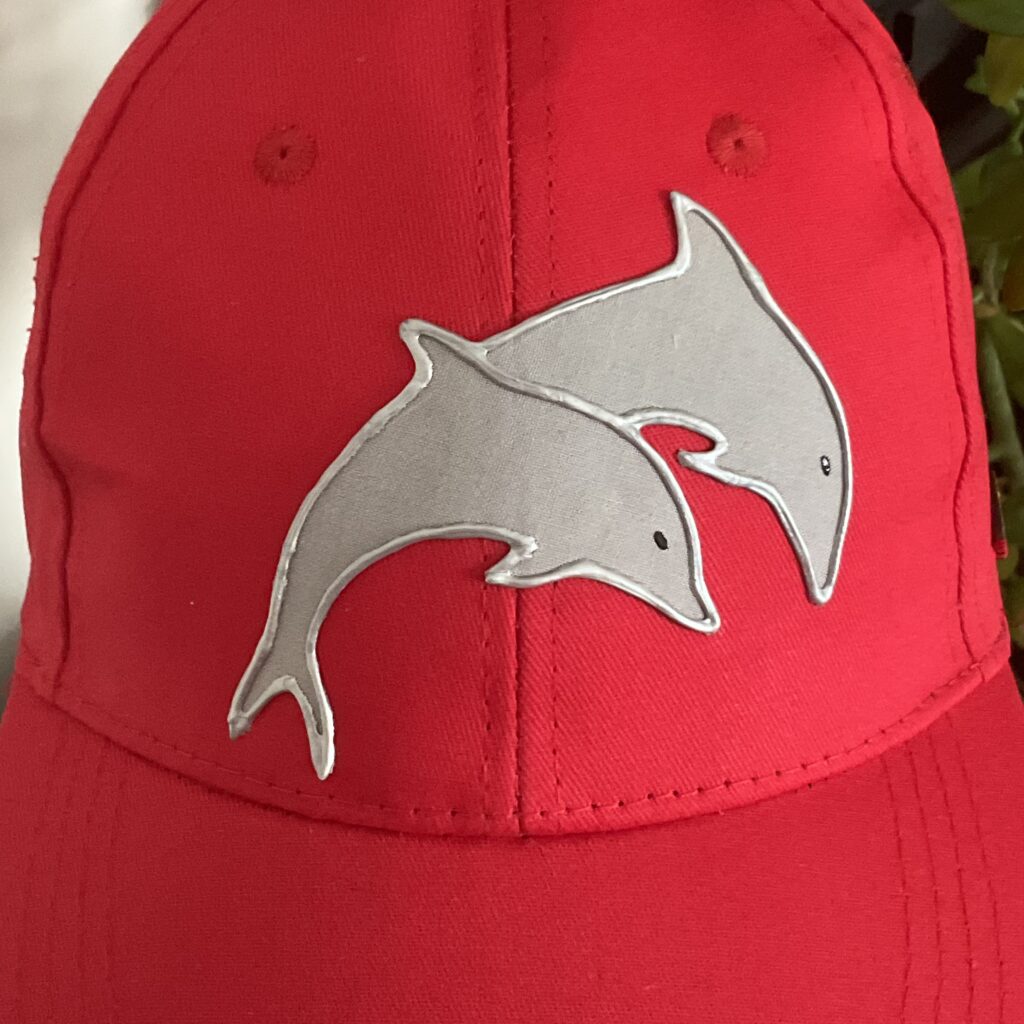 Casquette Dauphin Gray Red