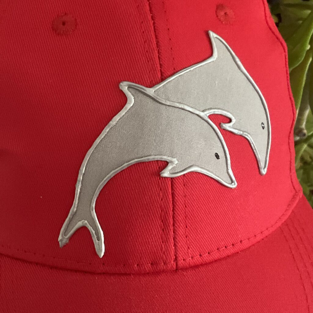 Casquette Dauphin Gray Red motif