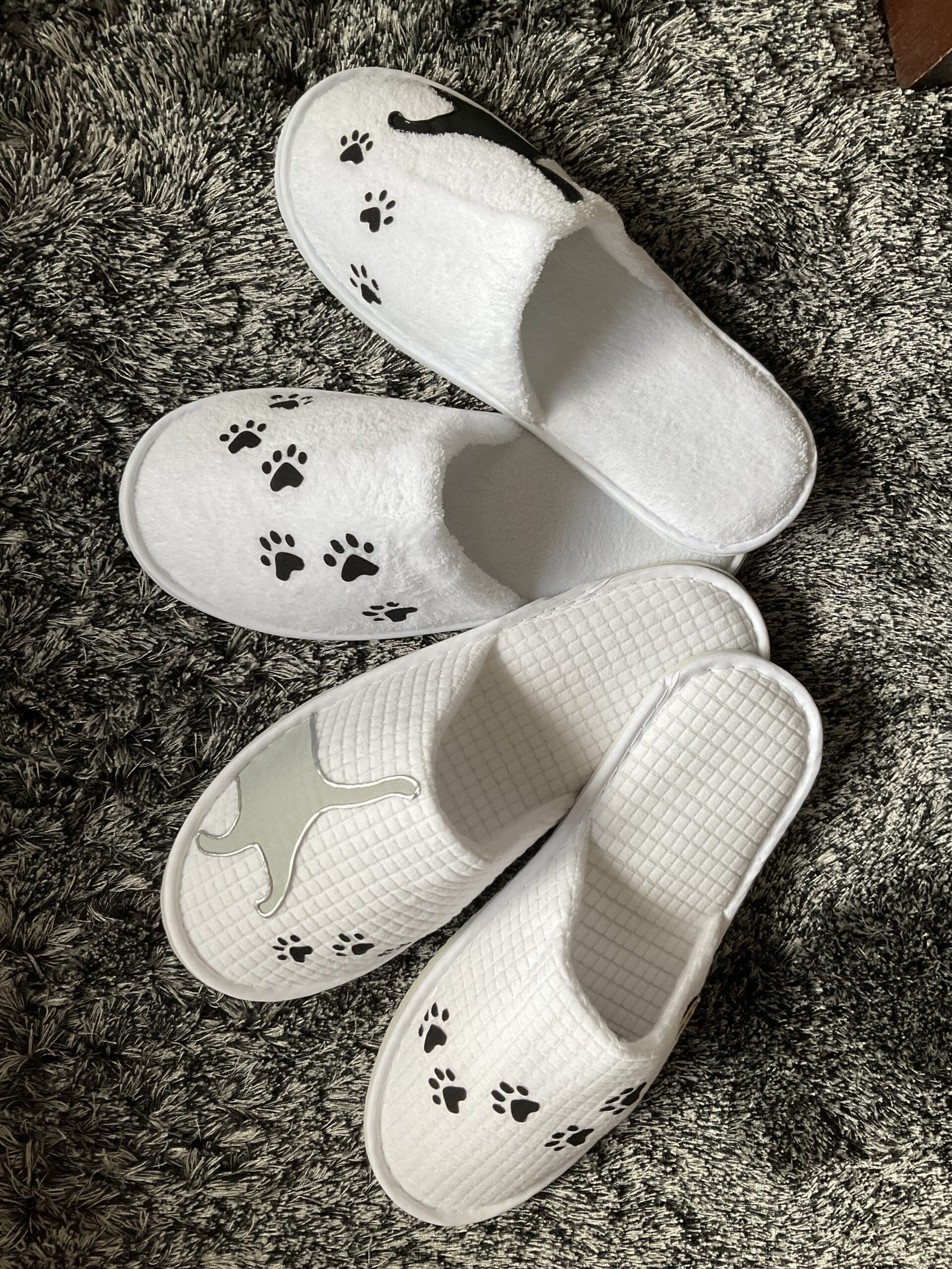 Pantoufles Chat Cats2 Gray White collection