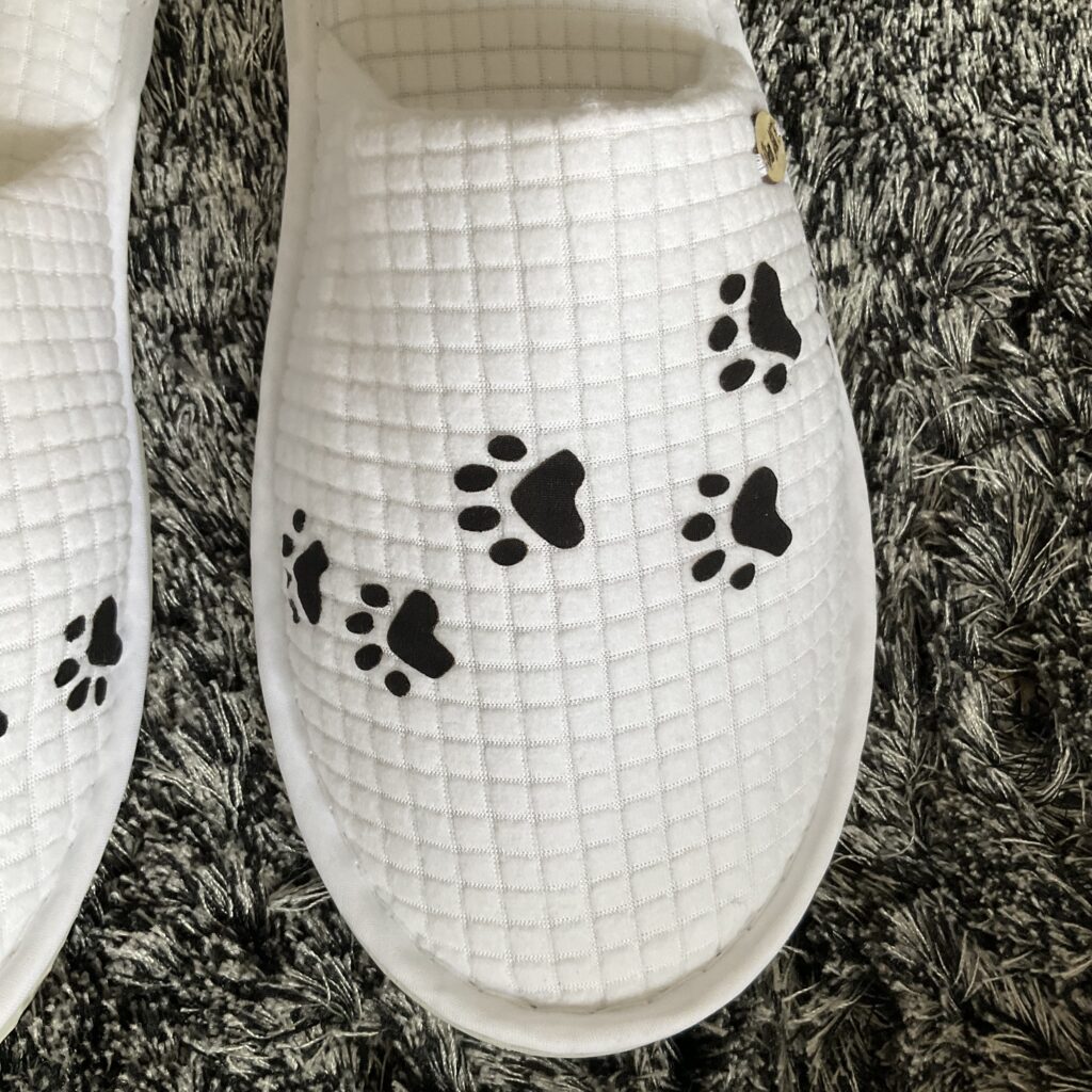 Pantoufles Chat Cats2 Gray White pattes