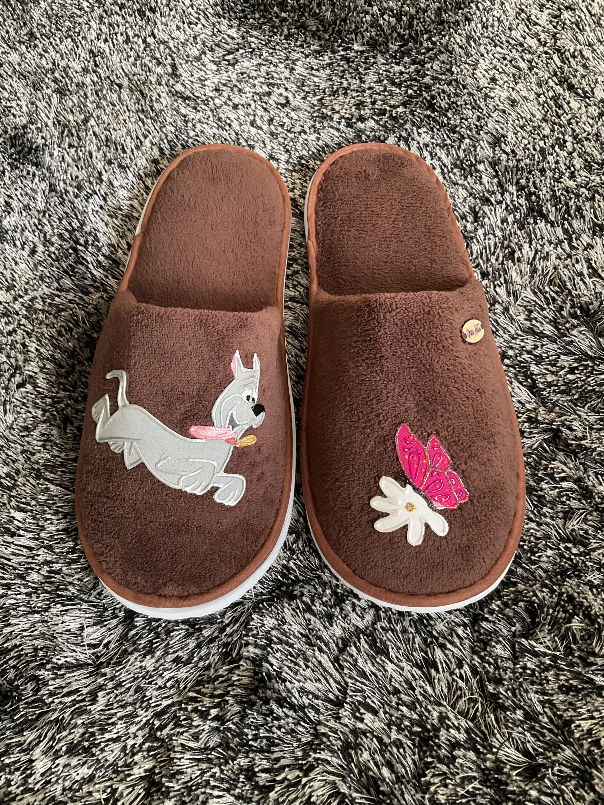 Pantoufles Dog Gray Brown